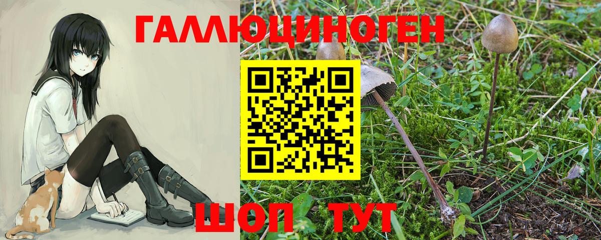 Кетамин Курганинск