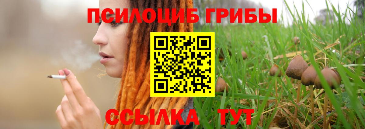 Курганинск  Псилоцибиновые грибы прущие грибы  Вход с VPN  Галлюциногенные грибы мухоморы 